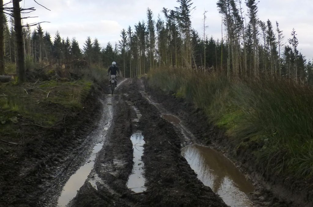 The Yamaha Off-Road Experience: Getting down and Dirty WR24