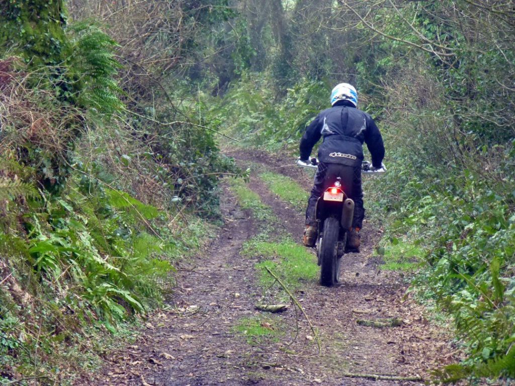 Enduro Shootout: KTM EXC300 vs. Husqvarna FE350 HK10
