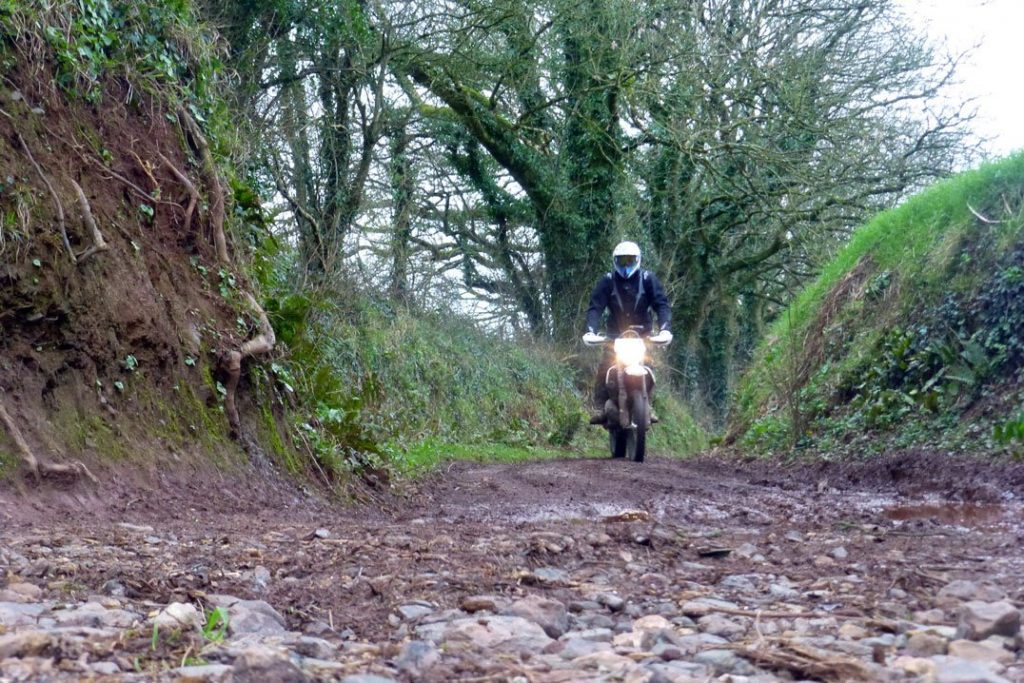 Enduro Shootout: KTM EXC300 vs. Husqvarna FE350 HK15 1