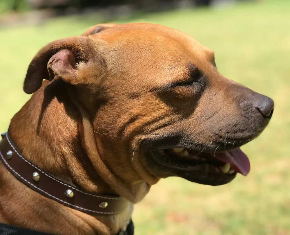 Newsletter-March-1 – Morning all – it’s that time again so we thought we should (News & Events, Newsletters)