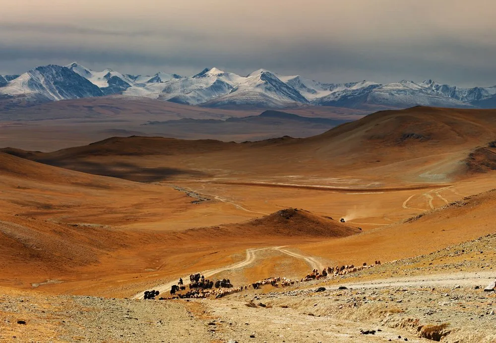 Mongolia – Good morning to all our readers and followers across the planet. It’s (News & Events, Newsletters)