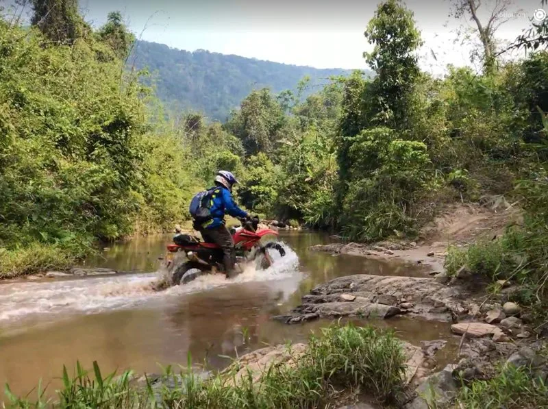 Trail Riding