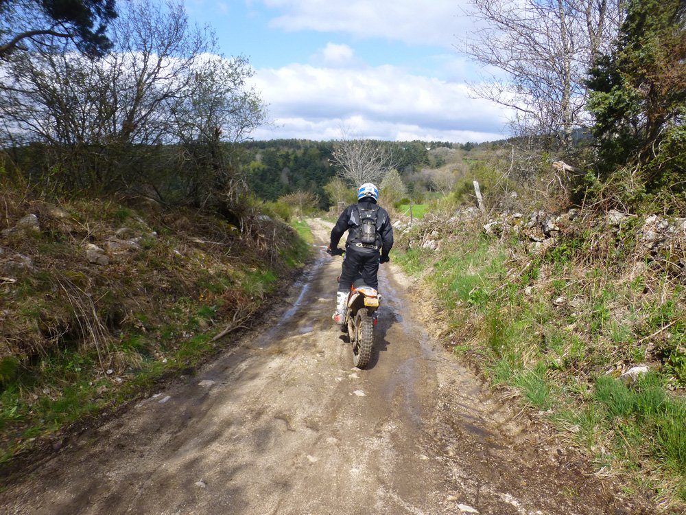 Maxxis Trial Maxx Hybrid 8