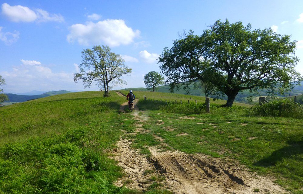 Ride More, Talk Less: A Plan for life Ride more, talk less
