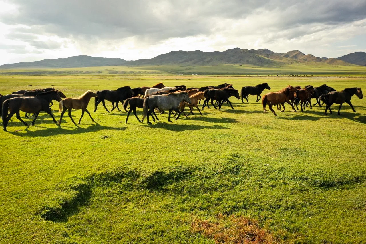 Mongolia Motorcycle Tours – Mongolia delivers adventure on every level. Vast steppes, plains, lakes and rivers
