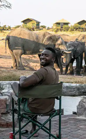 Experience the majestic giants up close and personal at Elephant Sands