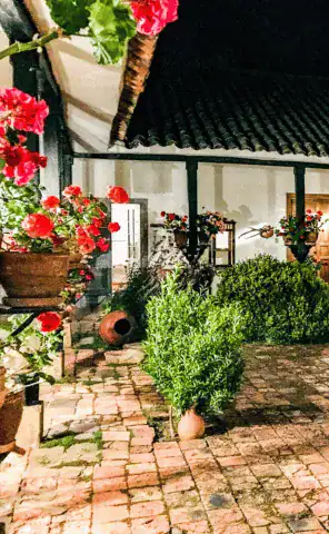 Haciendas to luxury