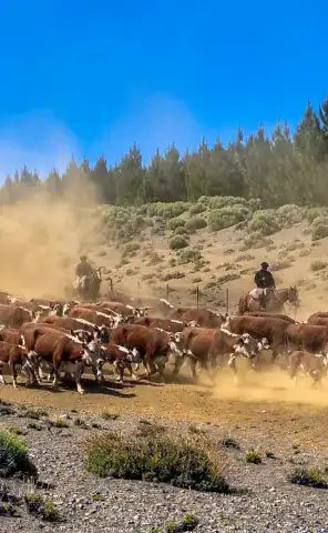 Ride Expeditions - Motorcycle Tour - The World_s End -Witness plenty of wildlife