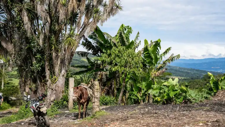 Ride Expeditions colombia hidden treasures