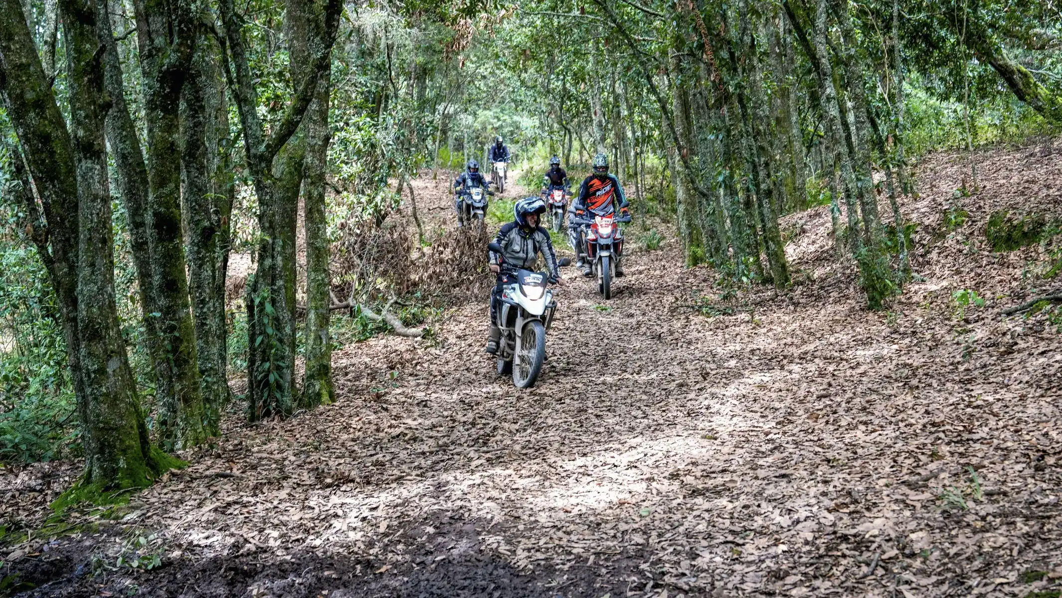 Hidden Treasures riders on forest trails in Colombia