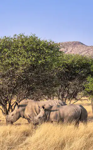 Spot an array of wild game