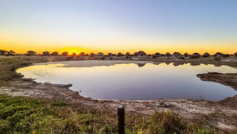 Vic Falls to Cape Town Gallery Images