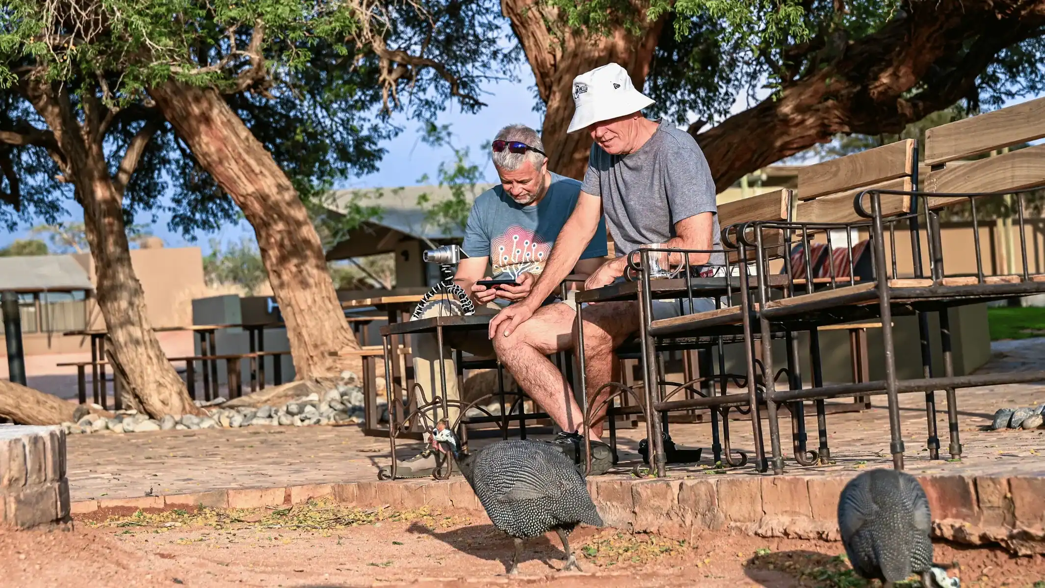Two men looking at a phone at a table under a large tree