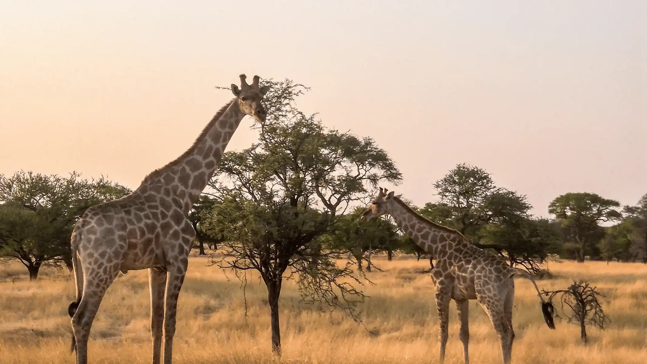 Vic Falls to Cape Town Gallery Images (7)