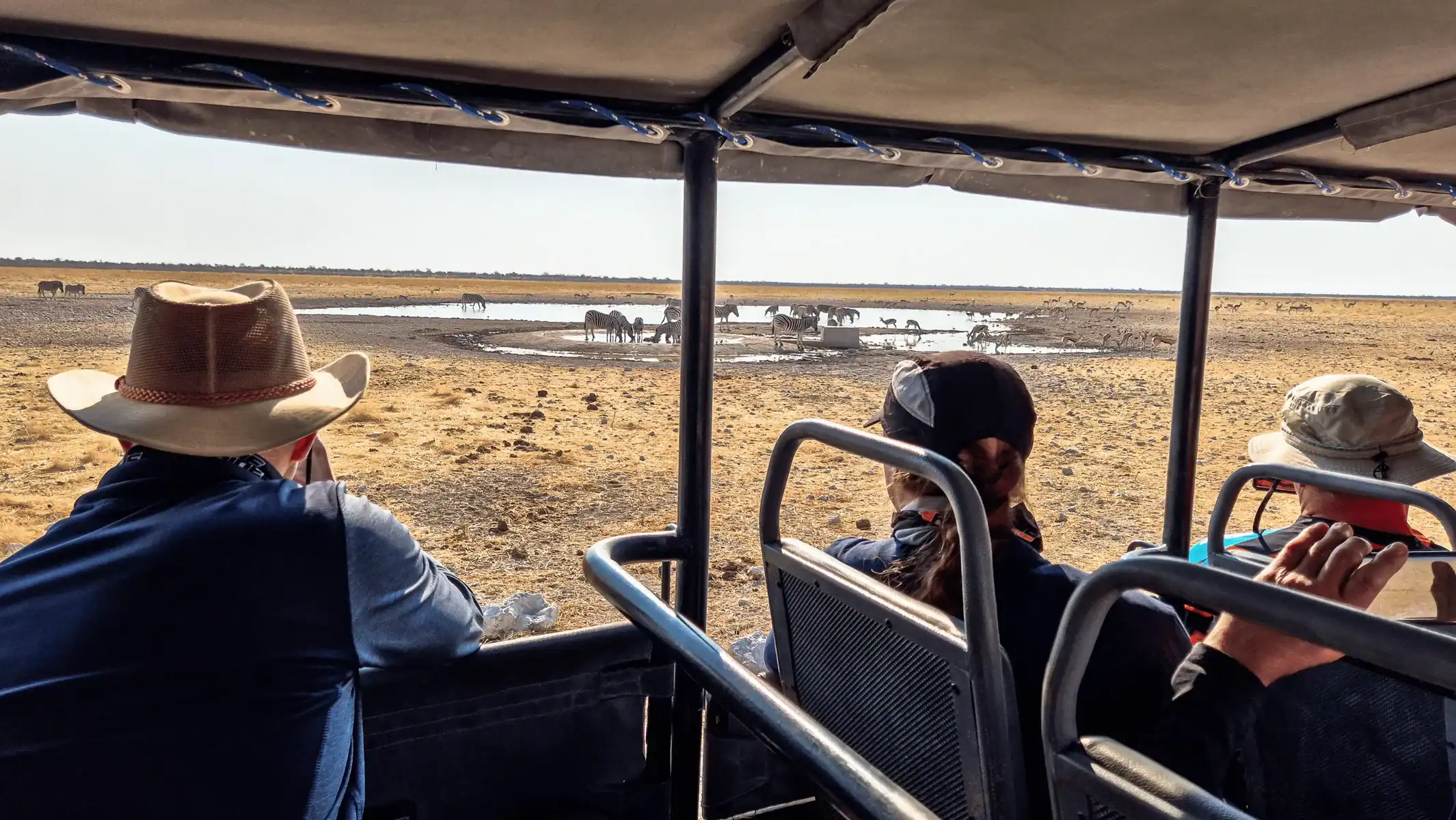 cape-town-to-victoria-falls-motorcycle-tour-safari-drive-view-15