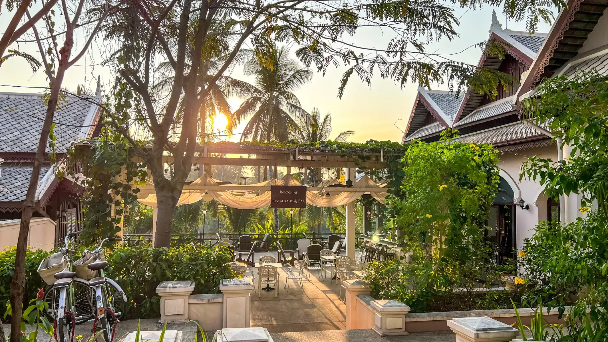 laos-dirt-bike-tour-sunset-lodge-palm-trees-10