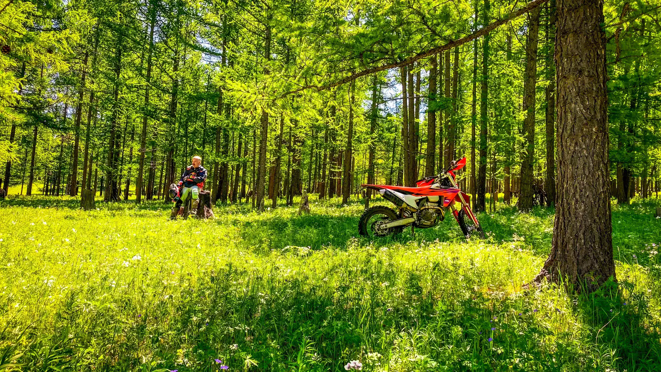 mongolia-enduro-tours-forest-riding-trail-01
