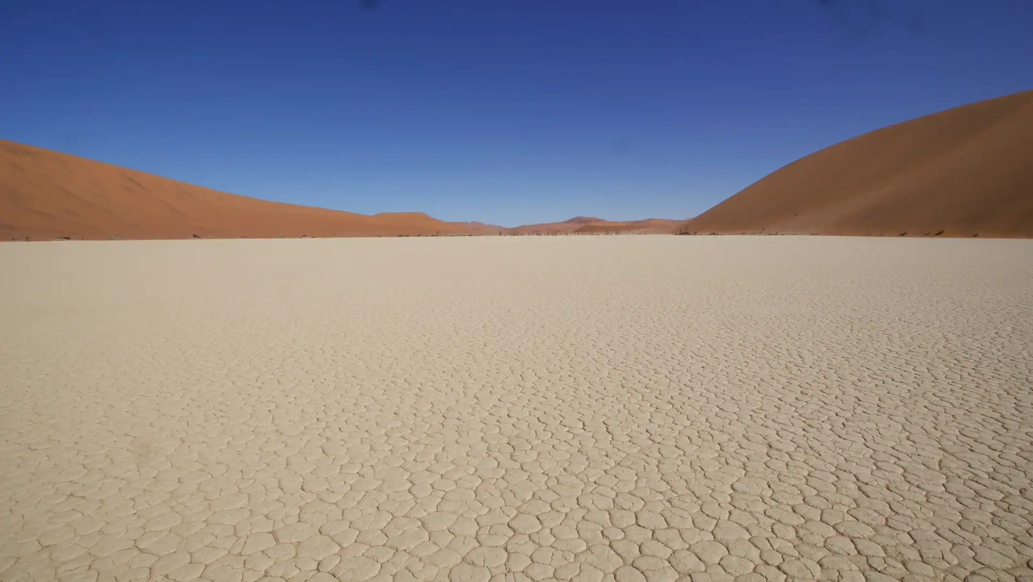 namibia-desert-motorcycle-tour-deadvlei-white-pan-15