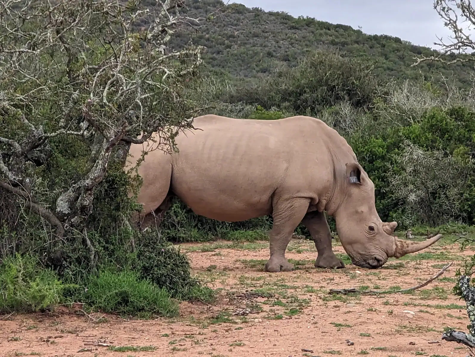 Garden Route Day 4 (7)