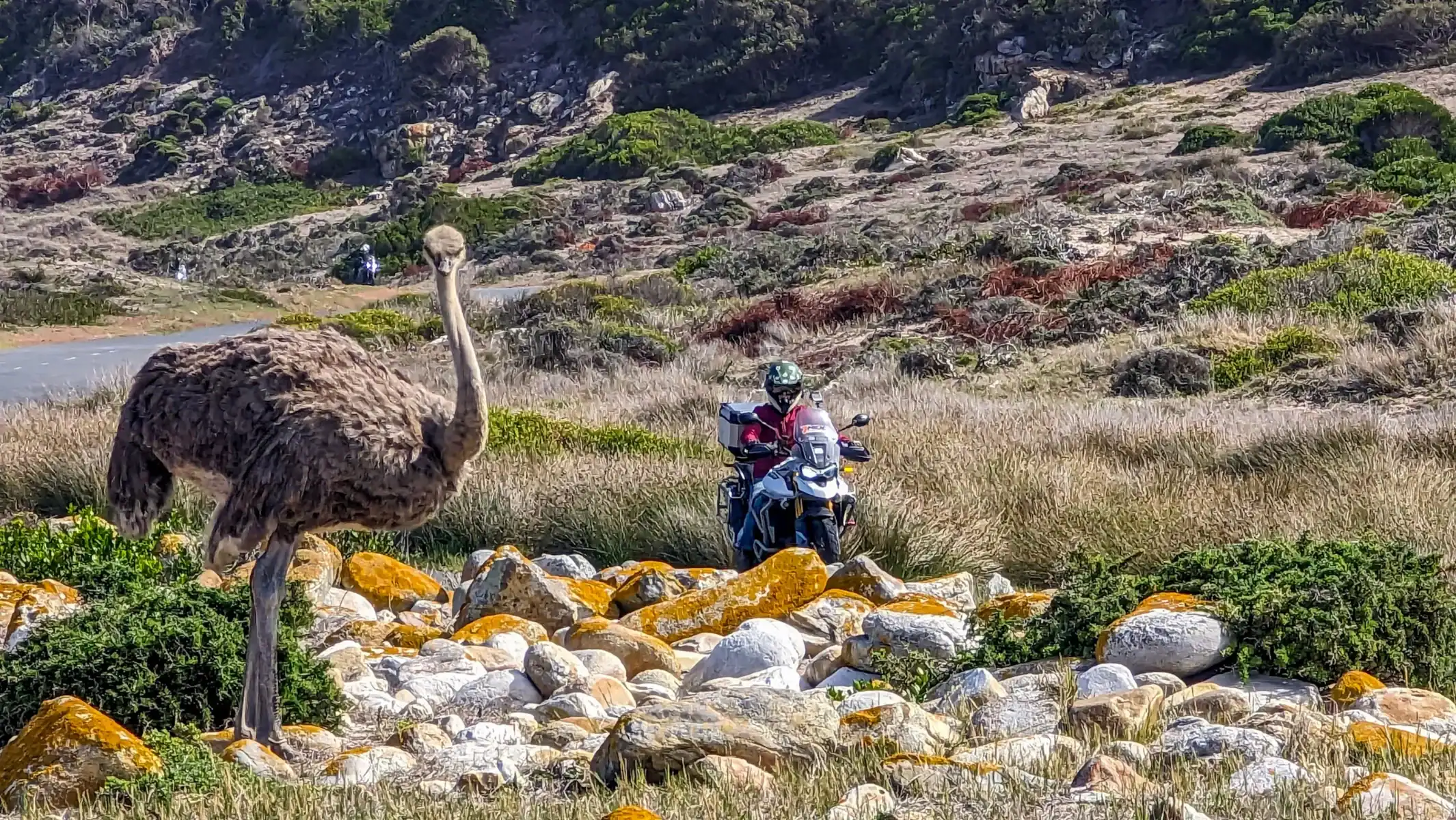 garden-route-motorcycle-tours-off-road-trail-riding-02