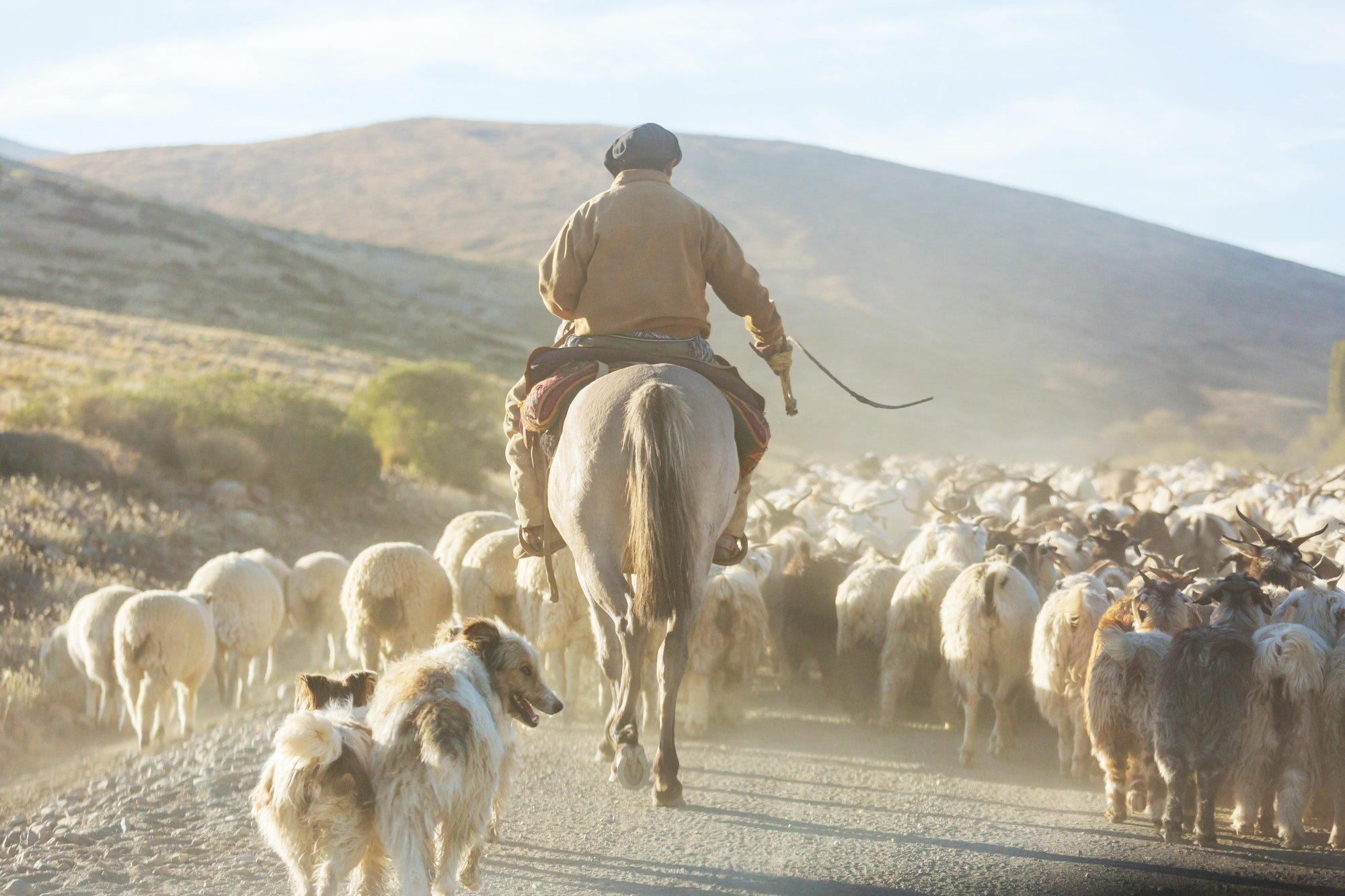 gaucho-1.jpg