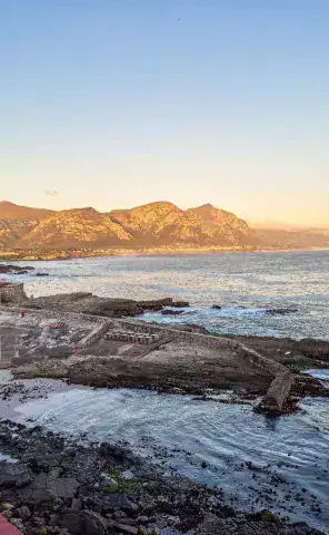 Ride Expeditions - Motorcycle Tour - Whale spotting in Hermanus