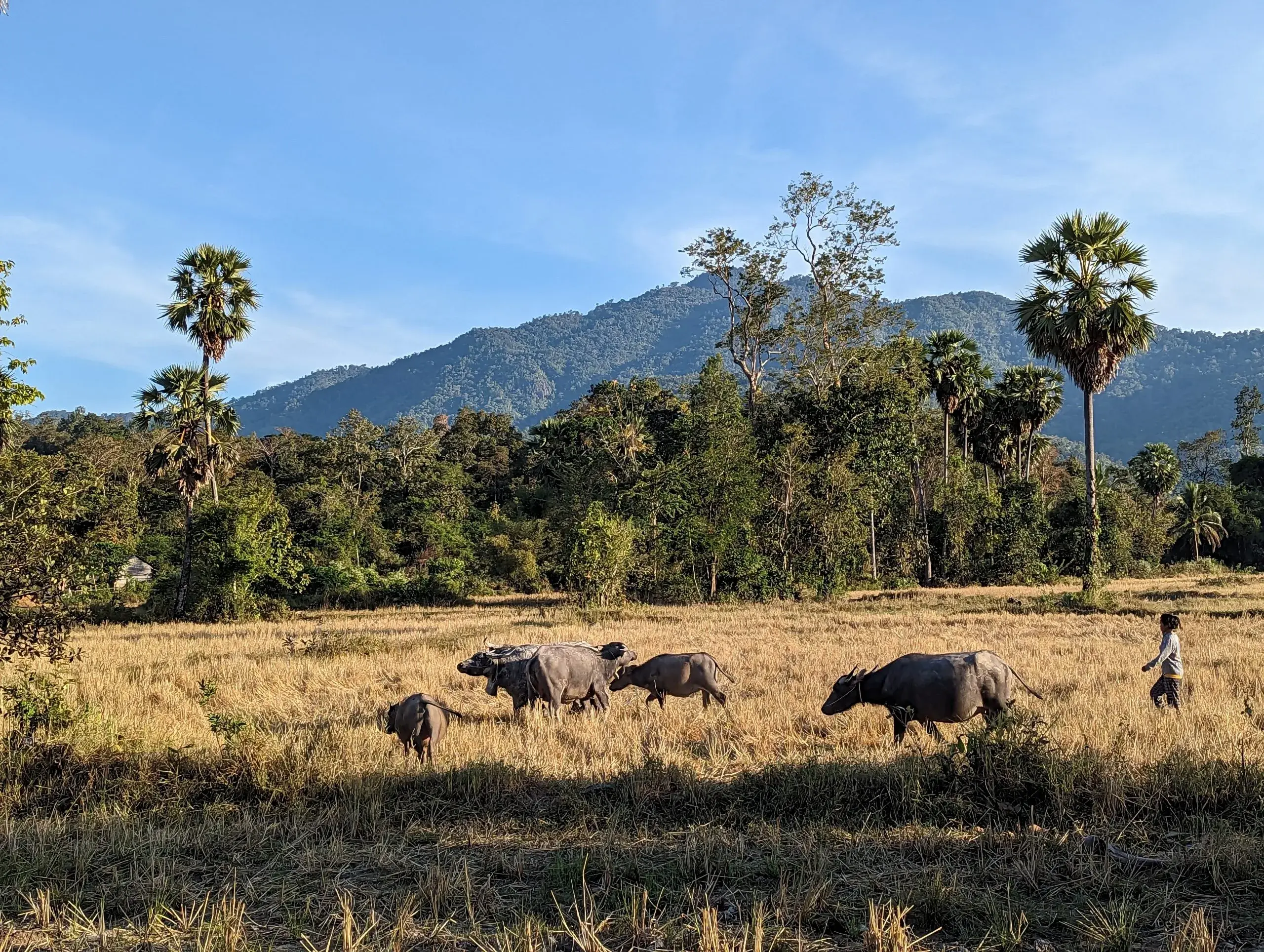 Cambodia Motorbike Tours-35 – This tour is the culmination of 10+ years of Ride Expeditions operating