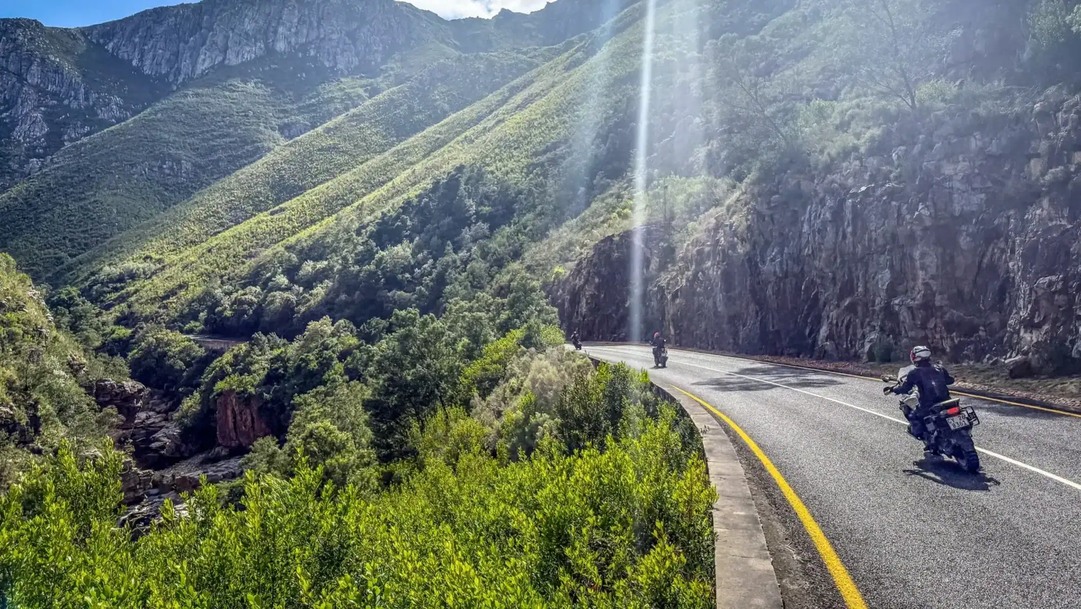 south-africa-motorcycle-safari-tour-forest-road-sunlight-05