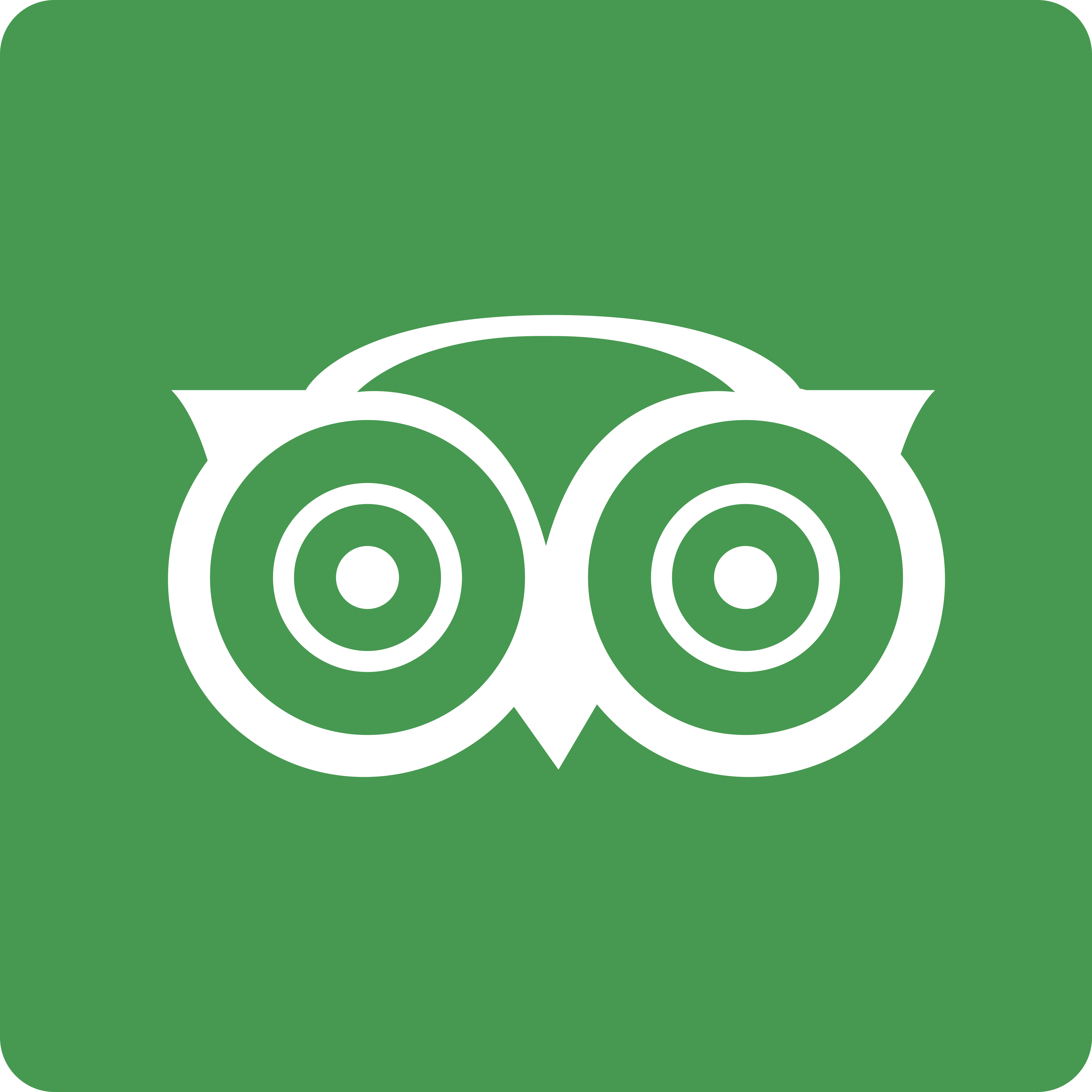 TripAdvisor Reviews