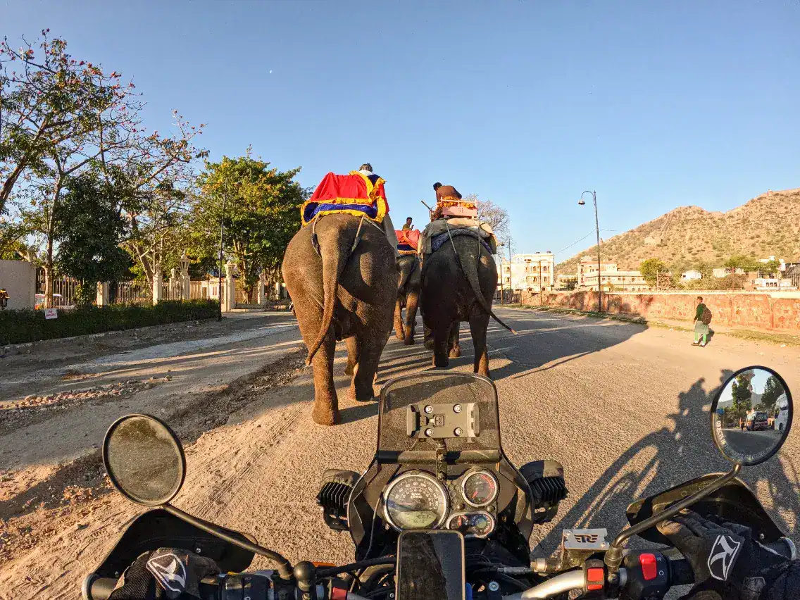 Rajasthan Motorcycle Tour Elephant Rides