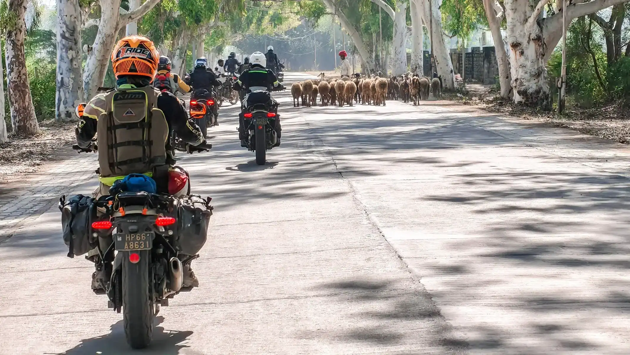 rajasthan-motorcycle-tour-riders-city-street-04