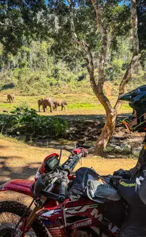 Ride Expeditions - Motorcycle Tours - Monks Trail - Ride right past elephants on the trail (while sightings are likely, they are not guaranteed!)