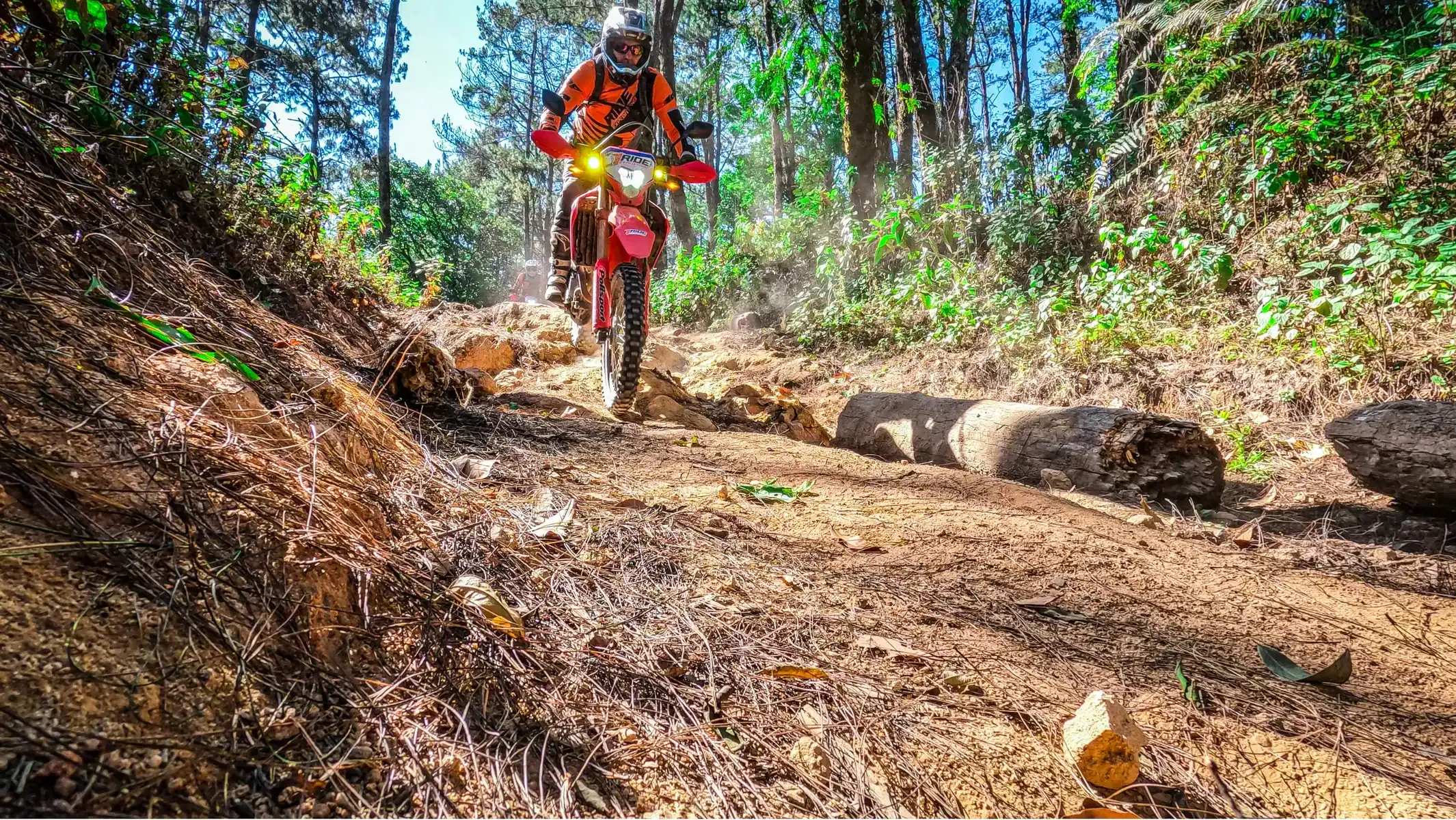 thailand-dirt-bike-tour-dirt-trail-log-obstacle-06