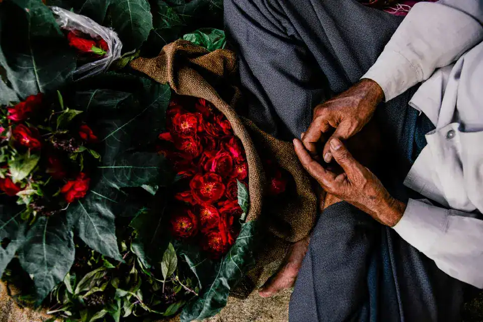 Red flowers in a basket