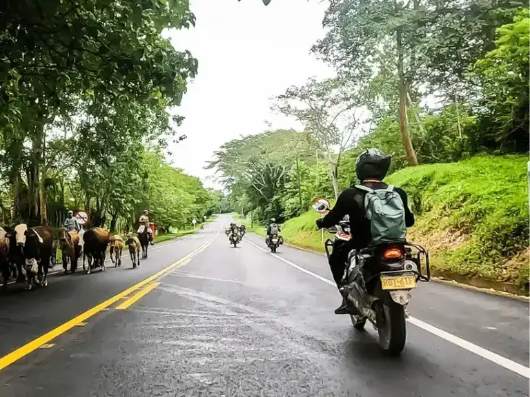 Honda XRE 300 easy off road tour Colombia – A trip to Colombia - A brand new route on the Honda (Uncategorized)