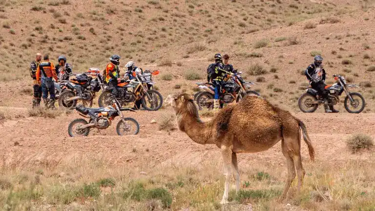 Ride Expeditions - Morocco - Chasing the Sahara (16)