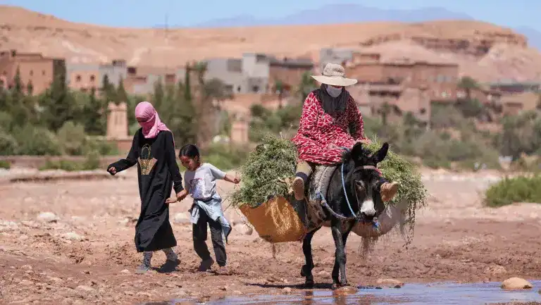 Ride Expeditions - Morocco - Chasing the Sahara (23)