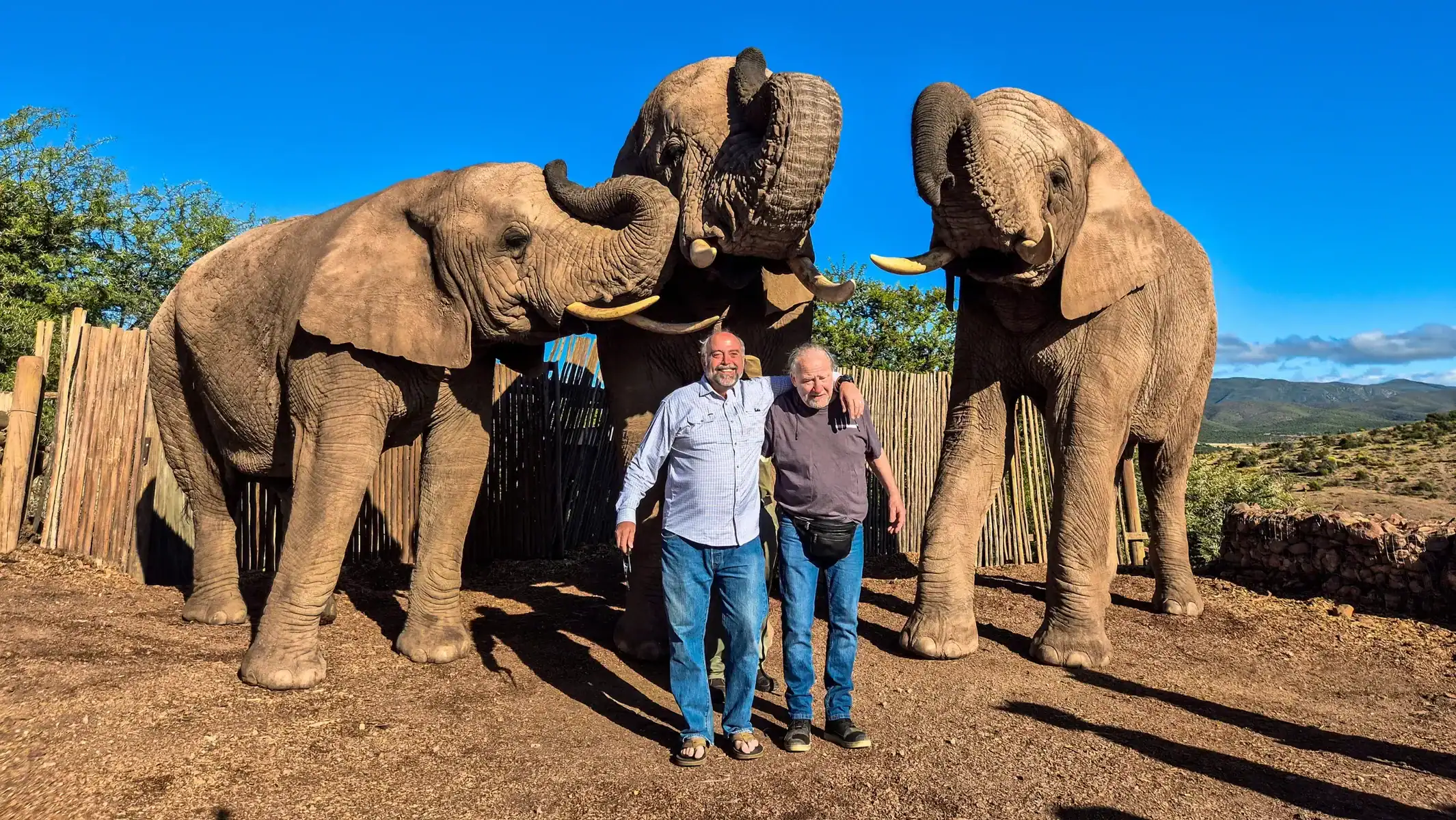 self-guided-garden-route-motorcycle-tour-elephant-encounter-12
