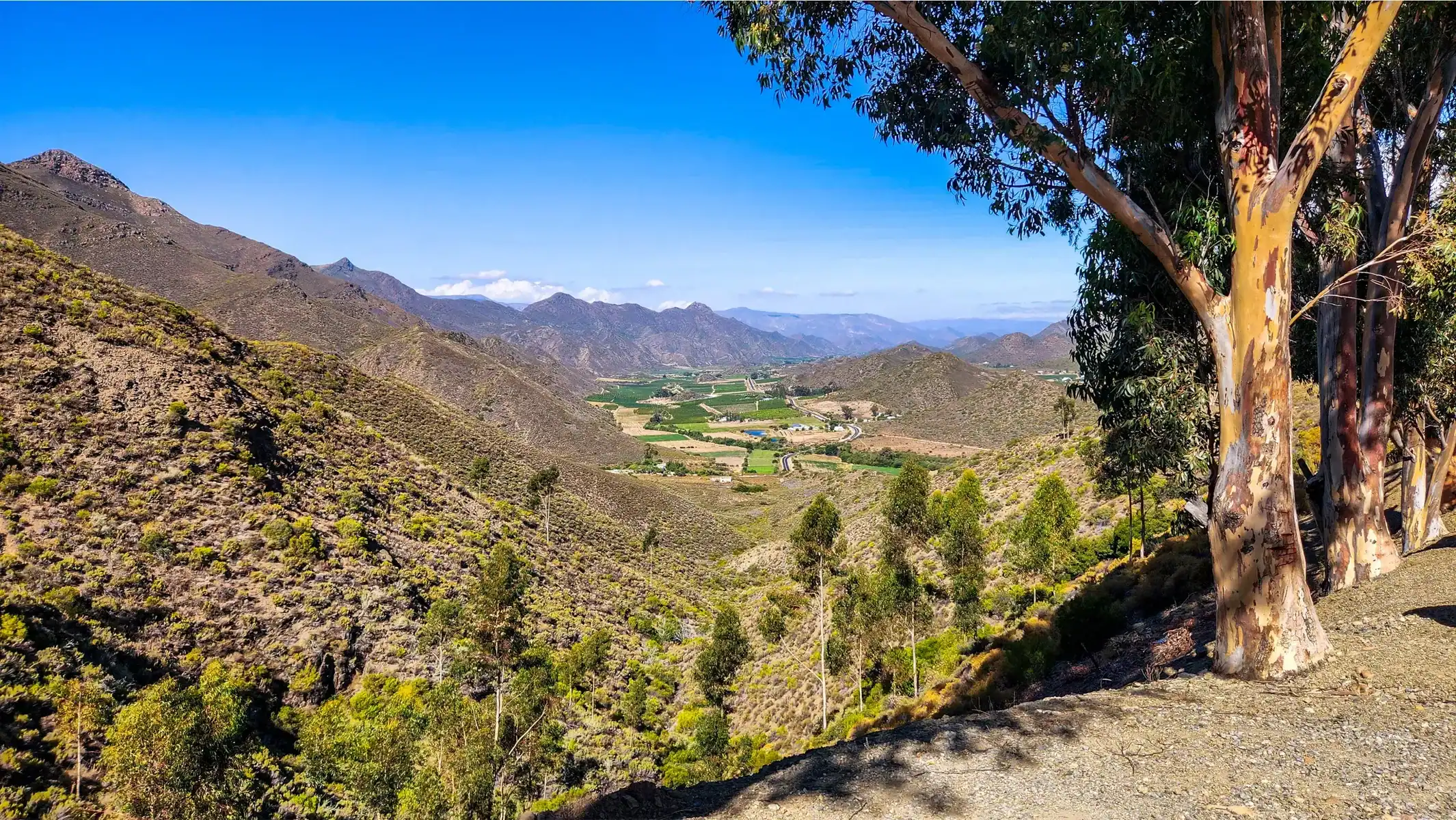 self-guided-garden-route-motorcycle-tour-valley-landscape-view-16