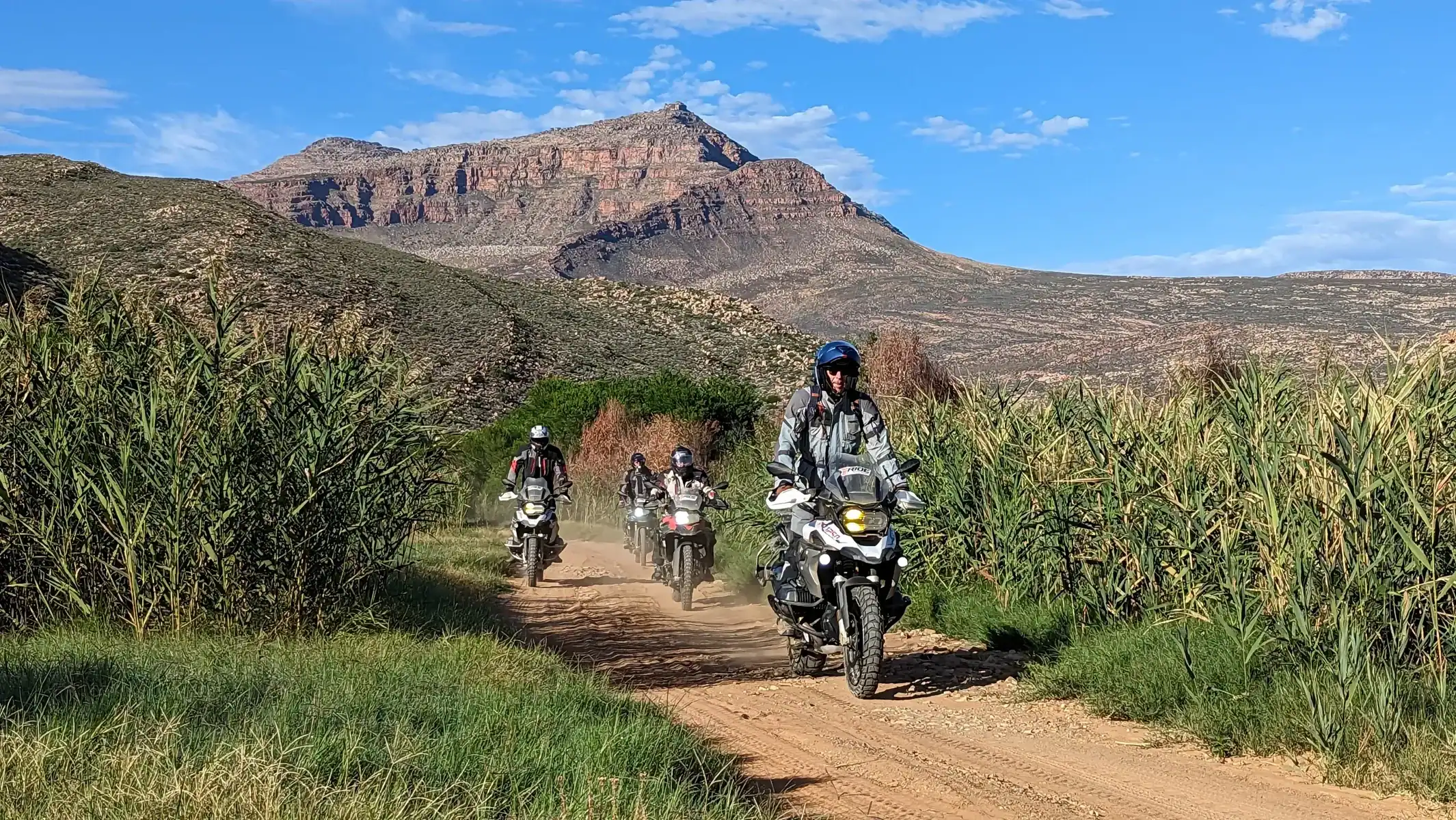 Riders on a gravel track through tall reeds, with a flat-topped mountain behind