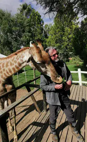 Ride Expeditions - Motorcycle Tour - Sea to Safari Motorcycle Tour - Giraffe