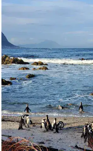 Ride Expeditions - Motorcycle Tour - Sea to Safari Motorcycle Tour