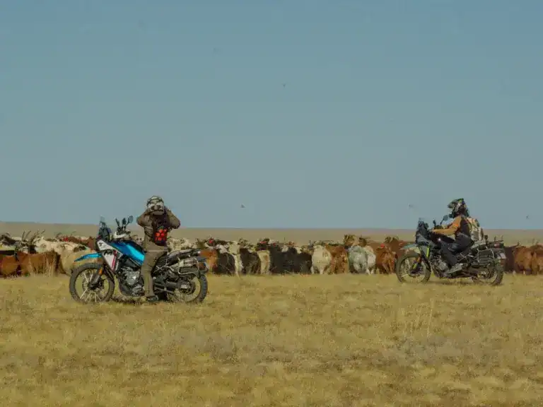 Day 11_ Khuvsgul Lake – Amarbayasgalant Monastery
