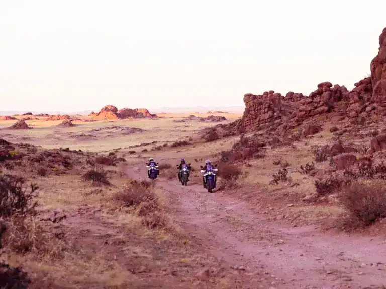 Day 5 Eagle Valley – Gobi Curvan _ Sand Dunes