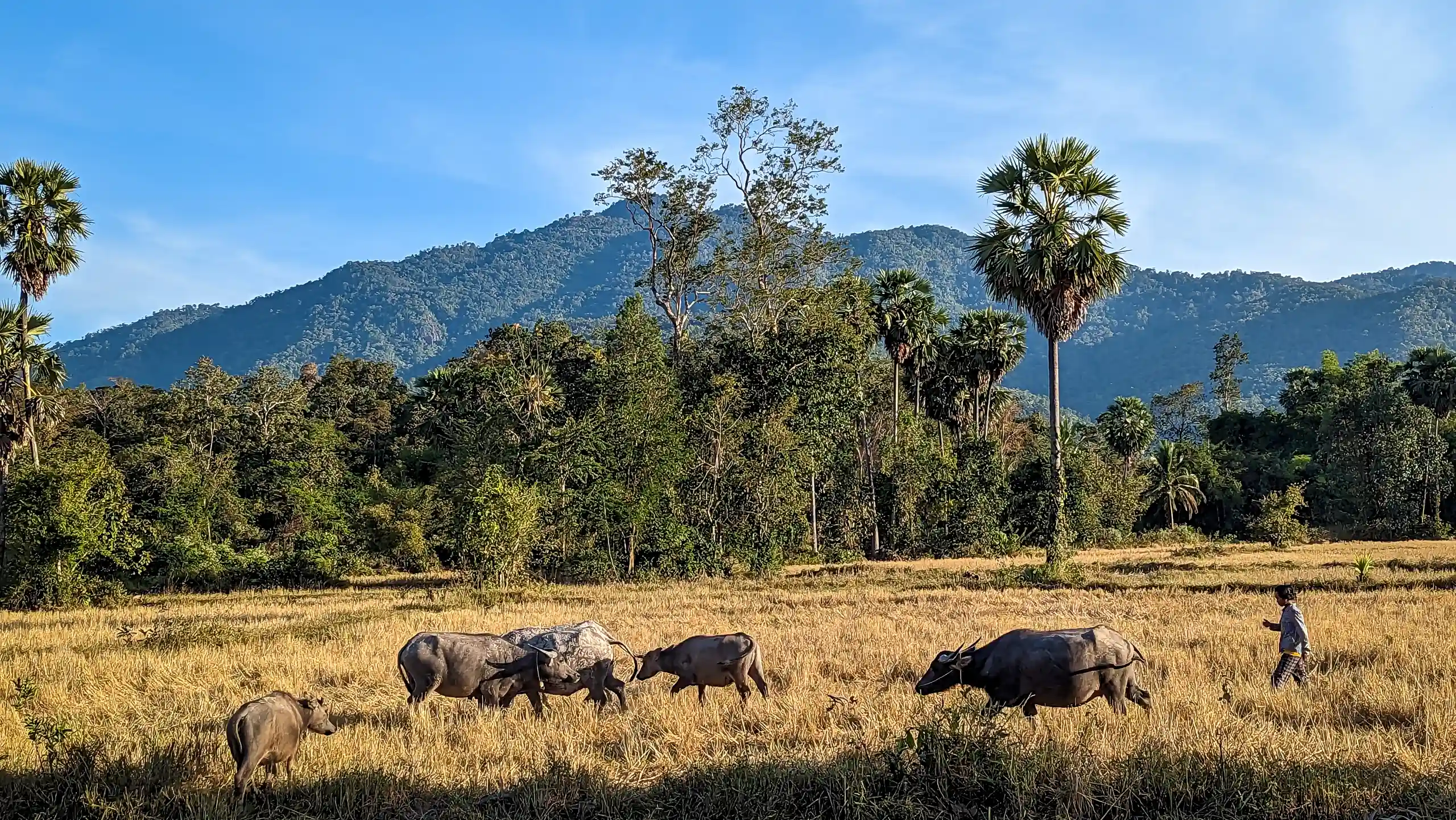 Off-road motorcycle touring in Cambodia.