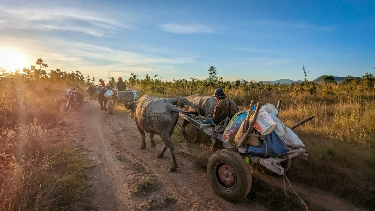 Off-road motorcycle touring in Cambodia.