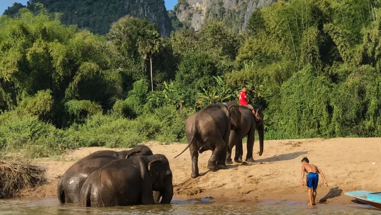 Laos motorcycle touring.