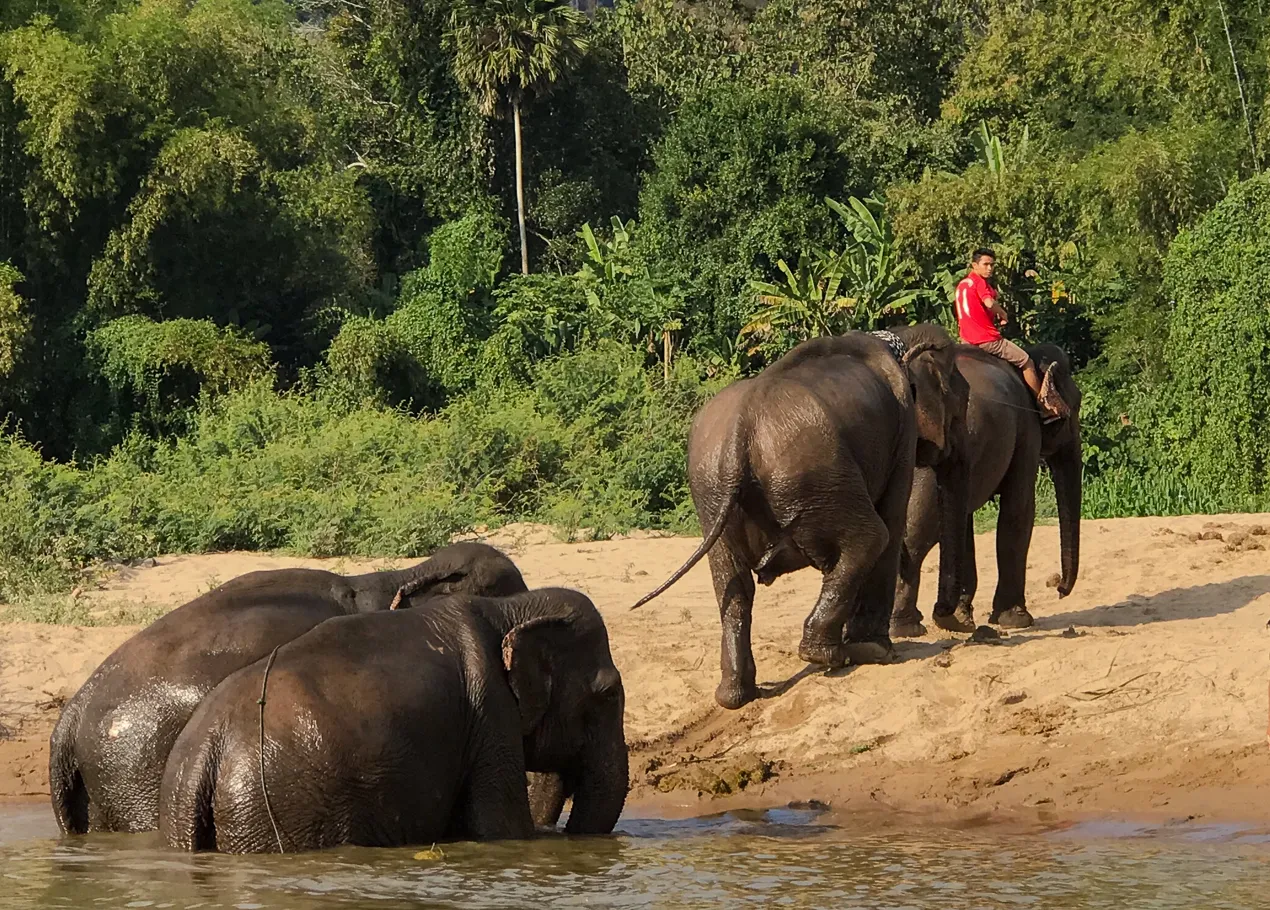 Laos Lost Trails