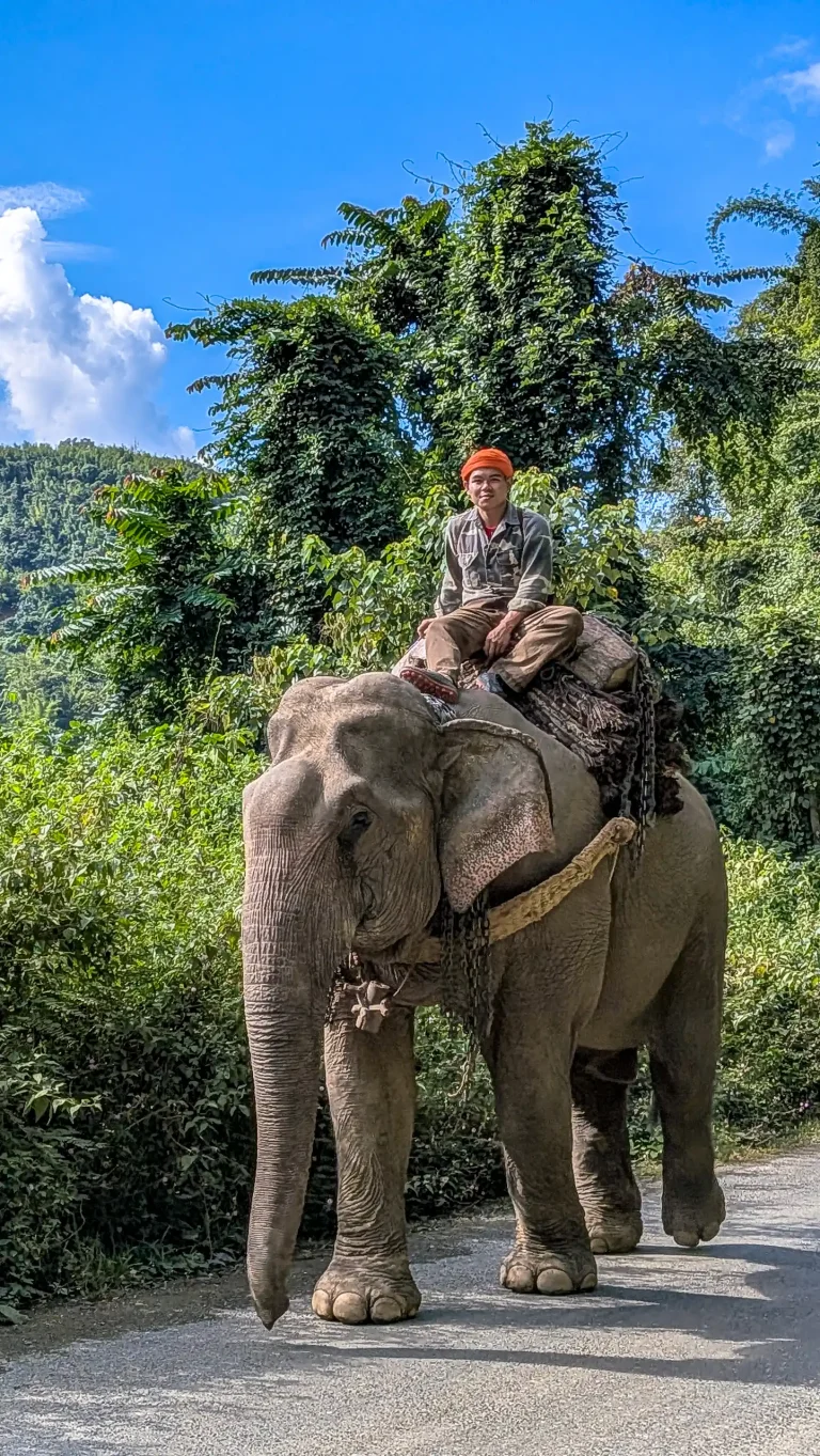 Laos motorcycle touring.