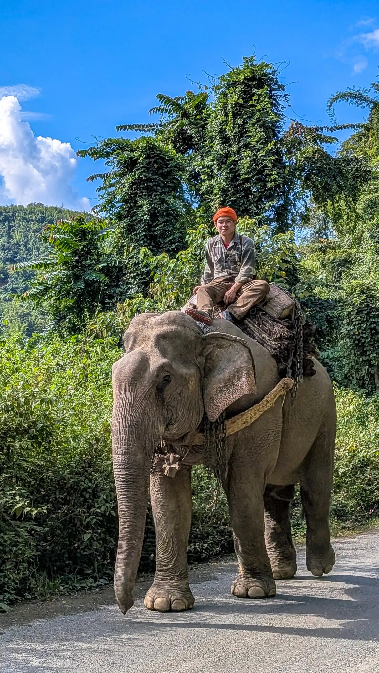 Laos motorcycle touring.